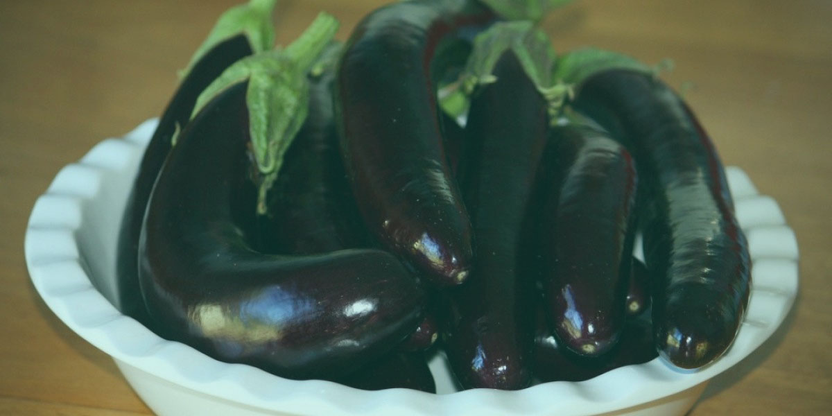 Keyword research: A white bowl full of aubergines or eggplants.
